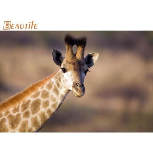 New Arrival giraffe Poster Cloth Silk Poster Home Decoration Wall Art Fabric Poster Print 30x45cm,40X60cm.50X75cm,60X90cm