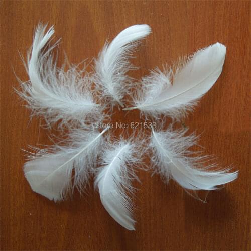 White feather!WHITE Goose Coquille Feathers,500PCS/lot, Loose soft goose Feathers for wedding,8-12cm,wholesale,cheap feathers