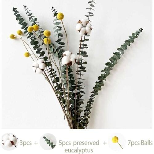 Natural dried pampas grass flowers Rabbit Tail Grass Eucalyptus Branches Real cotton flowers Golden billy-Ball wedding flowers