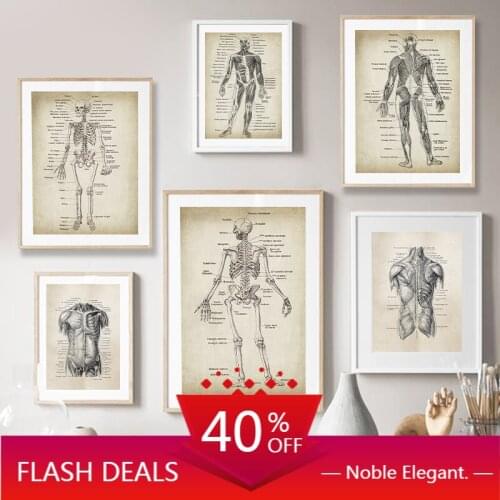 Christmas Canvas Painting Human Anatomy Canvas Art And Poster Retro Anatomy Poster Wall Art Picture Medical Doctor Clinic Decor