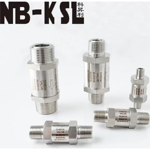 One Way 1/8 1/4 3/8 1/2 3/4 Valves Non Return Check Valve Male Stainless Steel 316