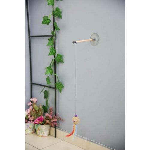 Товары для кошек Forpetonline China At AliExpress