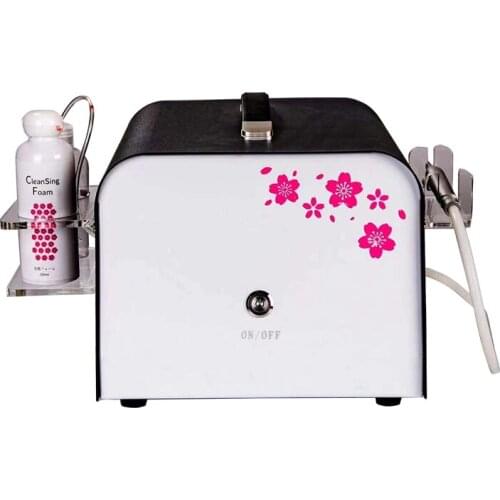 2021 New model face cleaning tool oxygen injecting home instrument face cleansing device