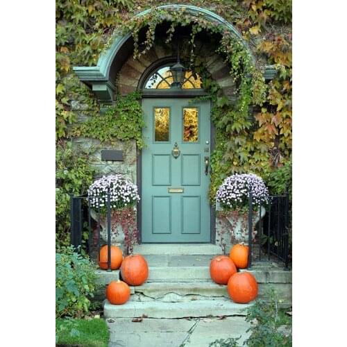 Halloween Backdrop Portrait Door Ivy Pumpkins 3D Custom Backgrounds for Photo Studio Photo Shoot Photography Accessories Vinyl