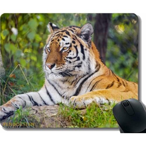 Gaming Mouse Pad Custom,Tiger Predator Big Cat 191765 Non-Slip Rubber Base Mousepad