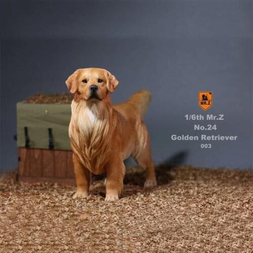 1/6 Scale No.24 Resin PVC Miniature Animal Model Golden Retriever Dog Model Toy fit 12" Action Figure Toys Fitting Decoration