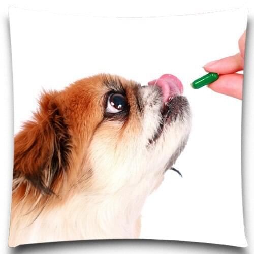 Cute Lovely Dog Cushion Cover Dog For Children Decorative Sofa Throw Pillow Car Chair Home Decor Pillow Case