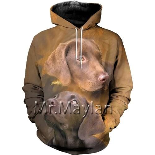 Labrador Retriever 3D Full Printed Hoodies Men/Women Harajuku Fashion Hooded Sweatshirt Autumn Casual Hoodie Sudadera Hombre