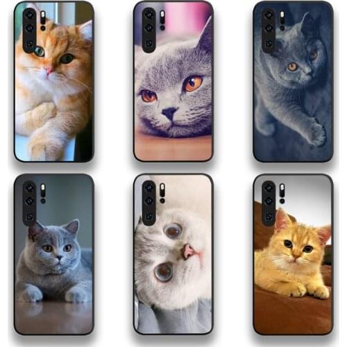 British Shorthair Cat Phone Case For Huawei P20 P30 P40 lite E Pro Mate 40 30 20 Pro P Smart 2020