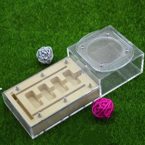 Diy With Feeding Area Ant Nest ,ant Farm Acryl, Insect Ant Nests Villa Pet Mania For House Ants