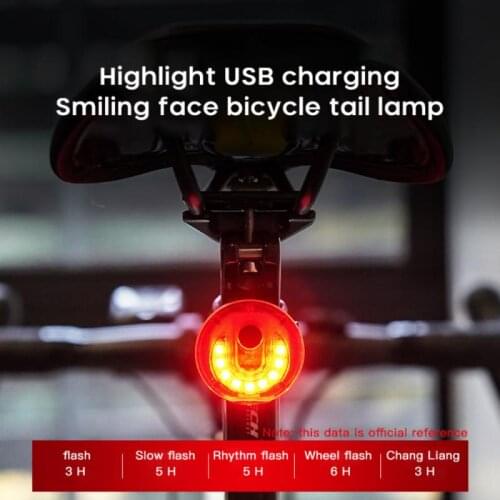 New Bicycle Tail Rear Light Auto Brake Waterproof 500 MAh USB Charge Cycling Tail Taillight Bike LED Lights Bicicleta