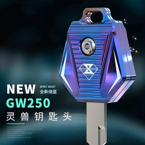 GW250 key set modified accessories motorcycle decoration creative key personality spirit beast motorbike modeling