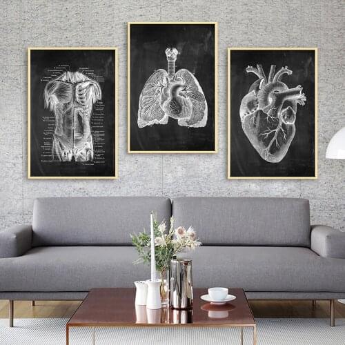 Human Anatomy Canvas Painting Retro Poster Medical Skeleton Organ Muscular System Picture Body Education Artwork Home Decor