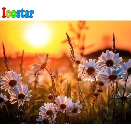 Full square diamond painting sunset daisy picture embroidery round diamond mosaic paintings wildflower natural decoration