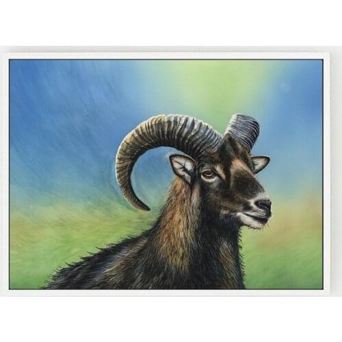 Sheep Pictures Living Room Wall Art Decor Animal No Frame Poster Oil Painting Decoration