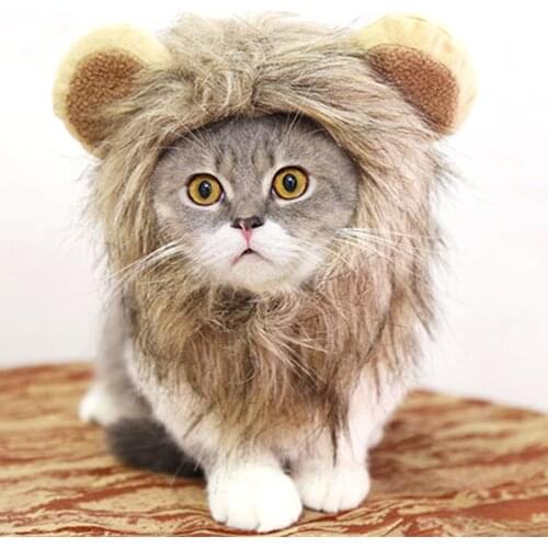 Одежда для кошек Pet's Spring China At AliExpress