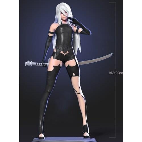 1/24 75mm 1/18 100mm Resin Model Female Warrior Figure Sculpture Unpaint No Color RW-501