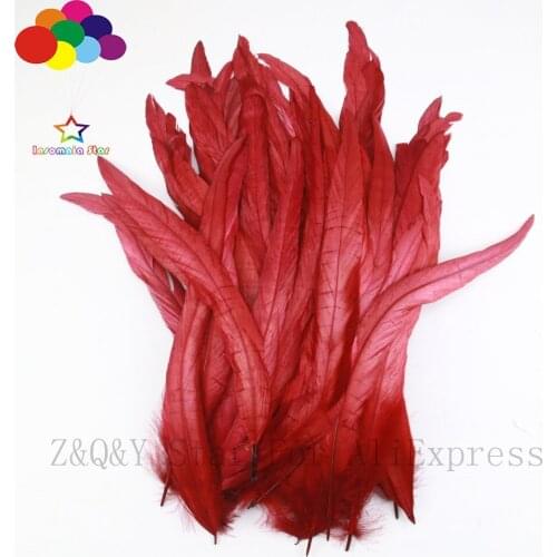 Natural 25-30CM (10-12 inches) rooster tail off dyed wine red 20-200PCSDIY craft jewelry show costume decoration feather