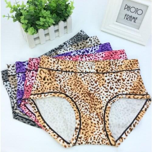 10Pcs/lot ropa interior femenina Milk Silk Leopard comfort Underwears Women Panties Plus Size 5XL lingerie womens briefs