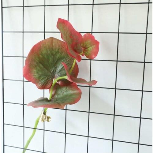 5Pcs Latex Butterfly Leaf Real Feeling Artificial Plant Micro Landscape Plant Wall Home Decoration Orchid Flower Material Leaf