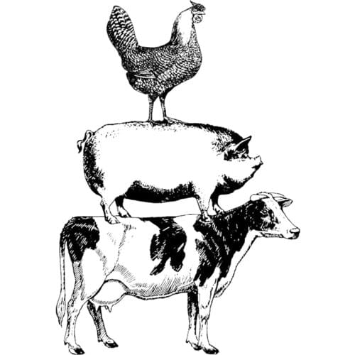 2021 New Poultry Animal Pig Cattle Chickens Clear Stamps For DIY Crafts Making Scrapbooking Greeting Card No Metal Cutting Dies