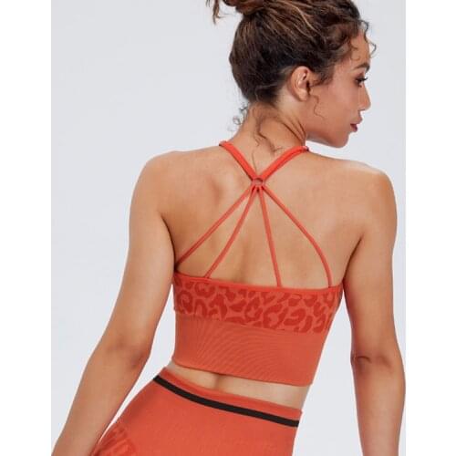 Nylon Top Women Bra Mesh Top Woman Breathable Underwear Women Fitness Yoga Sports Bra For Women Gym Fitness Crop Top Sport Wear