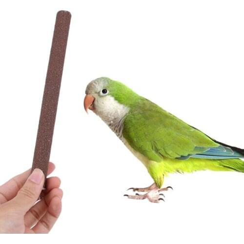 Pet Parrot Scrub Stick Toys Bird Cage Perches Stand Platform Paw Grinding Bites Toy For Parrot Parakeet Pet Birds Accessories