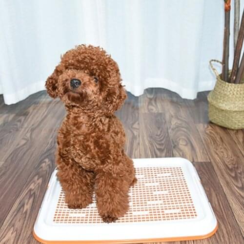Pet Dog Cat Plastic Training Toilet Tray Mat Easy to Clean Puppy Potty Bedpan Pee Pad for Indoor Doggy Kitten Training Supplies
