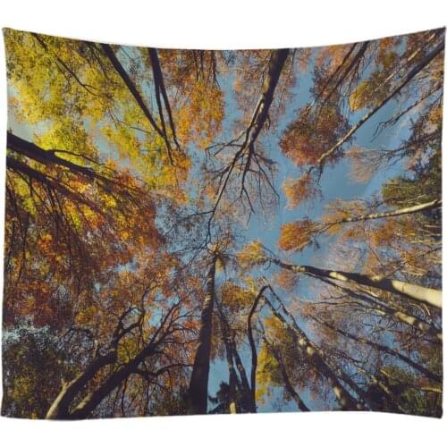 Dreamy Forest Tree 3D Printing Tapestry Wall Hanging Bed Spread Beach Towel Table Cloth Home Decoration Natural Forest Design
