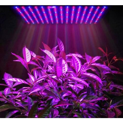 HYMELA Plant Lamps