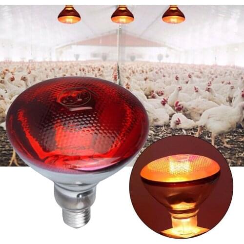 250w Infrared Heat Lamp Waterproof Anti-Explosion Thickened Light Bulbs for Piglet Chicken Duck Birds D1