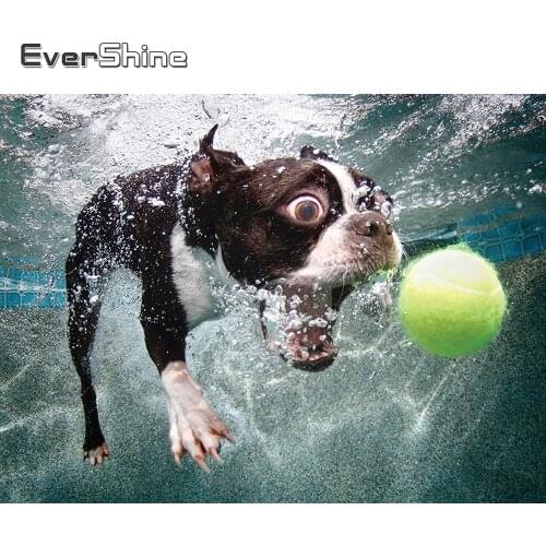 Evershine Diamond Embroidery Animal Dog Diamond Painting Picture Of Rhinestone Mosaic Full Square Round Drill Handmade Hobby