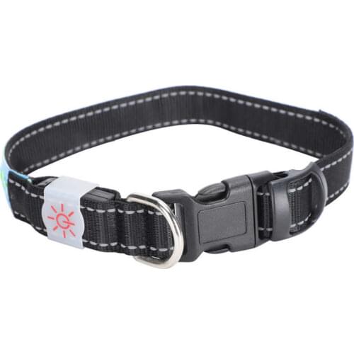 Dog Leash and Harnesses Collars Harnesses Leads LED Pet Glowing Adjustable Safety Rechargeable Collar PU Leather for Cats and