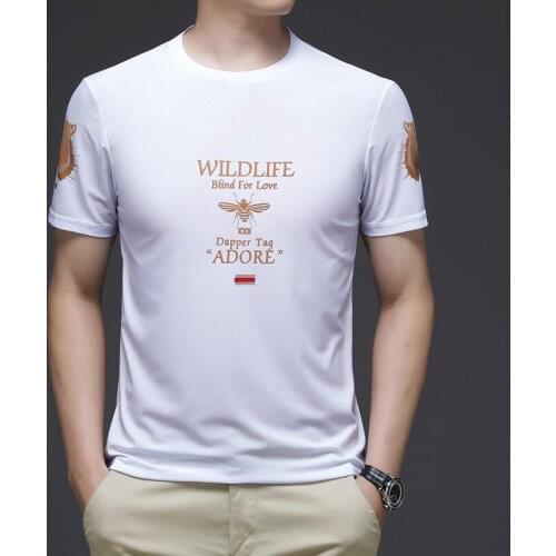 Short-sleeved Printed T-shirt Male Korean Casual Loose Youth Round Neck Fashion Trend Handsome Bottoming Shirt