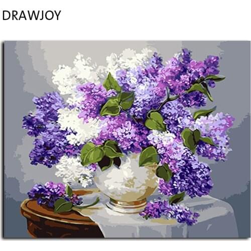 Flower No Frame Pictures Painting By Numbers Home Decor For Living Room DIY Digital Canvas Oil Painting Wall Art GX3052 40*50cm