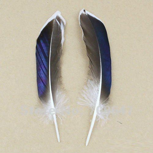Wedding earrings feather ! 100pcs/Lot 10-15cm Nice Nature Mallard Duck Wing Quills- Iridescent Blue Wing feathers