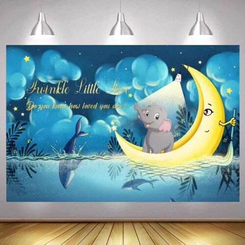 Twinkle Twinkle Little Star Photo Backdrop Baby Shower Kids Moon Happy Birthday Party Decoration Photography Backgrounds Banner