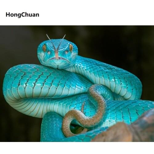 Fast delivery beautiful snake 5D DIY square/round diamond paintingmosaiccross stitchhomedecoration mural Christmas gift New Year