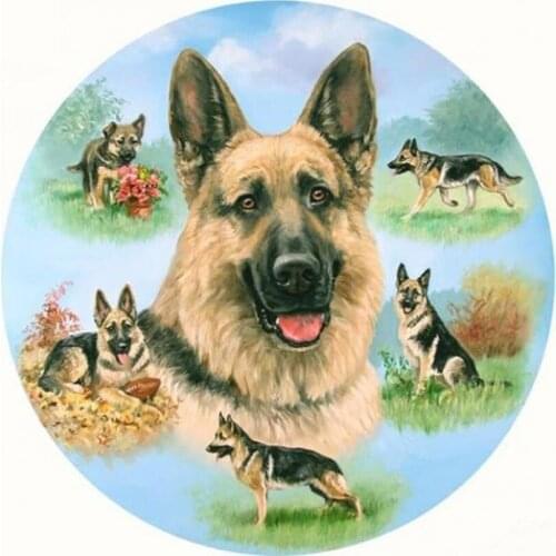 Diamond painting cross stitch dog picture mosaic & Diamond embroidery&Square full pattern rhinestone kits for needlework HL703