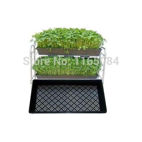 Garden supplies Hot sale Seedling tray sprout plate nursery pots tray box 54*28*5