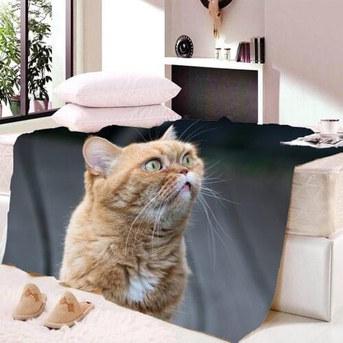Cute Cat Pattern Throw Blanket Fleece Plush Warm Sofa Blanket Childrens Room Teenage Girl Quilt Blanket