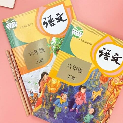 Sixth grade students learn Chinese Pinyin and Chinese characters in two language books/books/learnning chinese