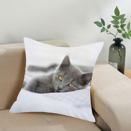 Super Soft Pressure Cushion Cover Animal Cute Cat Decorative Decoration Pillows Chair Case Decor Home Accessories Z7D4