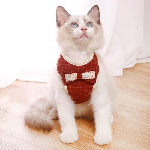 ABELADOPET Collars For Cats