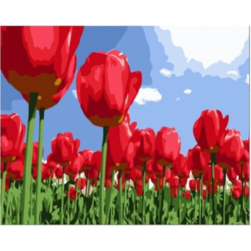 Free shipping Red tulips flower painting by numbers oil painting on canvas wall art home decor cuadros decoracion E025