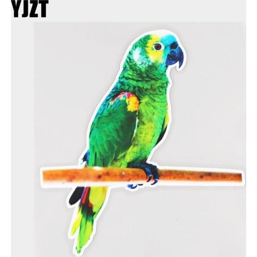 YJZT 15.8×17.4CM Parrot On Wooden Branch Rear Windshield Decoration Animal Car Stickers 21A-0983