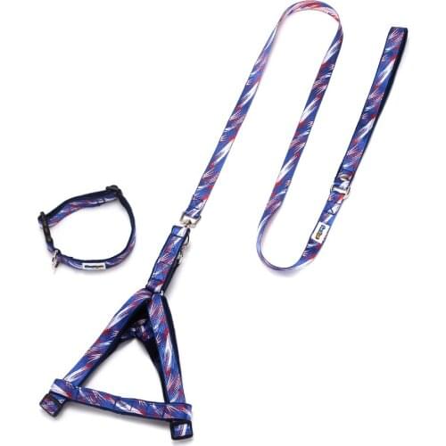 Nylon Fabric Pet Collar Dog Collar and LeashSets for Small Medium Large Dogs Harness and Leash Set Collar Dog