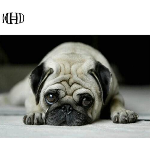 5d diy diamond painting dog full square & round 3D diamond embroidered crystal rhinestone cross stitch dog diamond mosaic