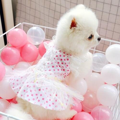 Dog Dress Pet Clothes for Small Dogs Pet Dog Dresses Clothes Polka Dot Lace Embroidery Mesh Pet Dog Skirt Roupa Para Cachorro
