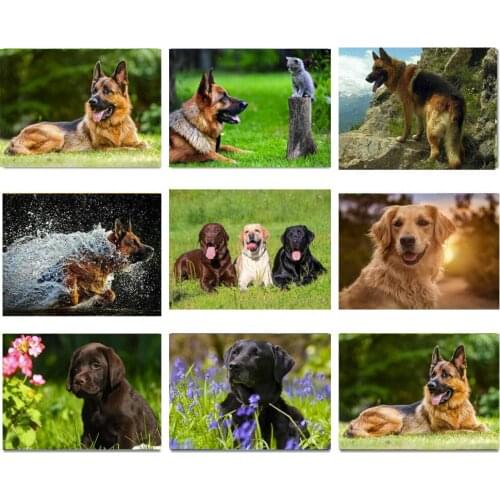 5D Diy Daimond Painting "Animal Dog" 3D Diamond Painting Full Round Rhinestones Diamant Painting Embroidery Cross stitch FG1613